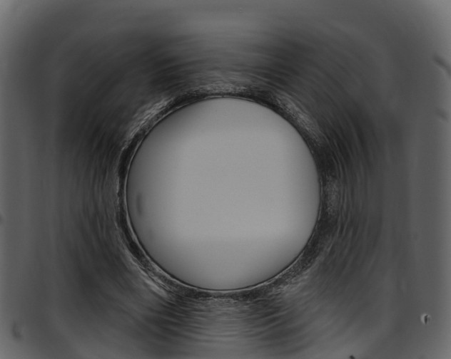 X0000097650490200802290850