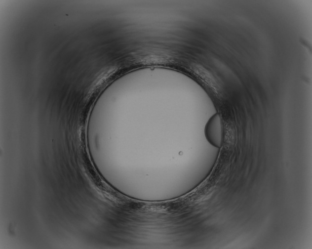 X0000097650491200802290850