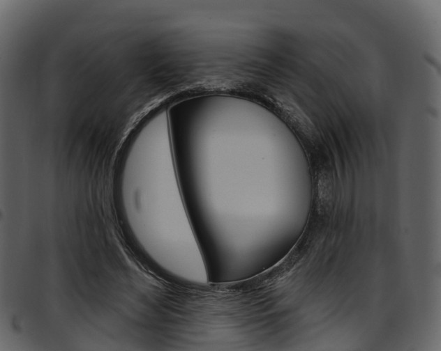 X0000097650492200802290850
