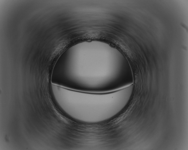 X0000097650493200802290850
