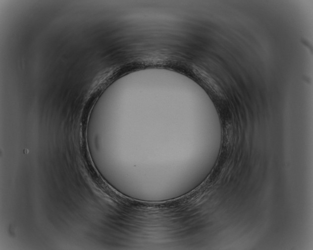 X0000097650494200802290850