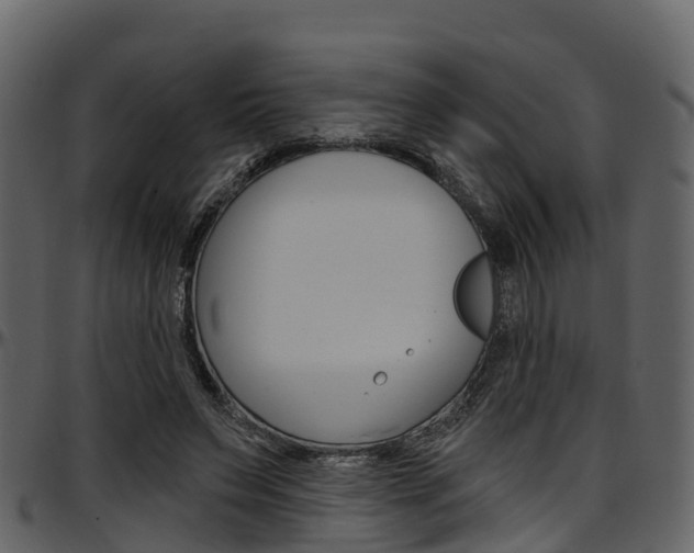X0000097650495200802290850