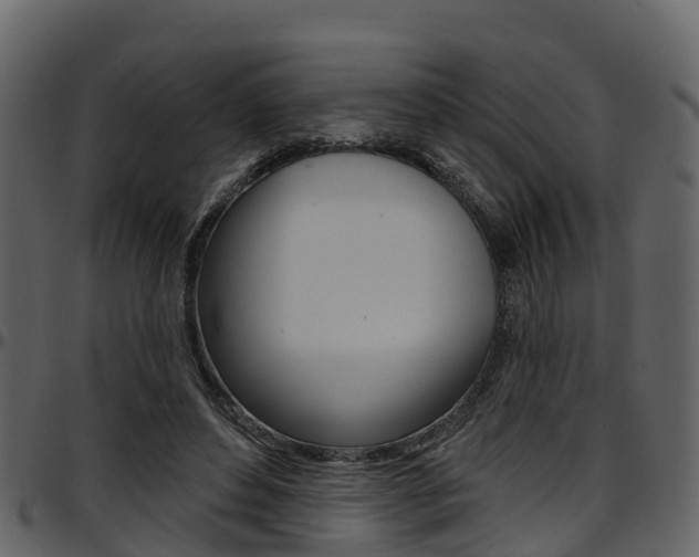 X0000097650496200802290850
