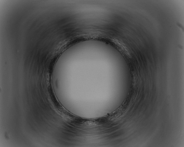 X0000097650498200802290850