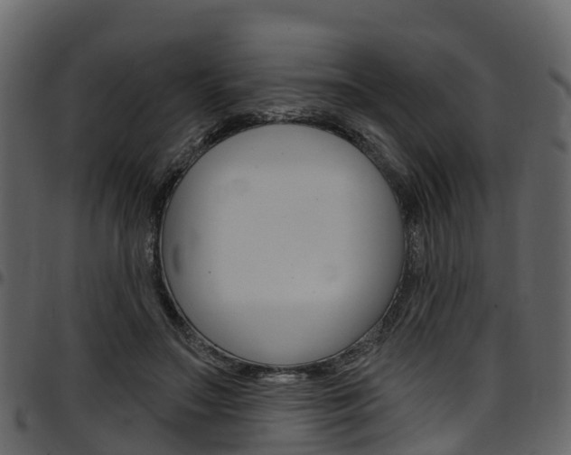 X0000097650499200802290850