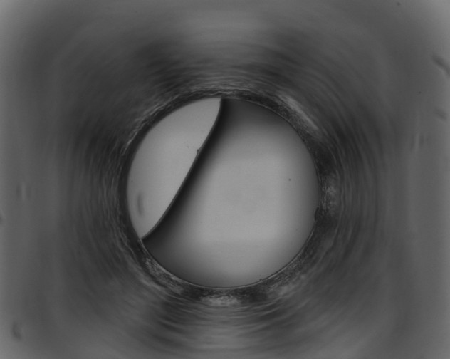X0000097650500200802290850