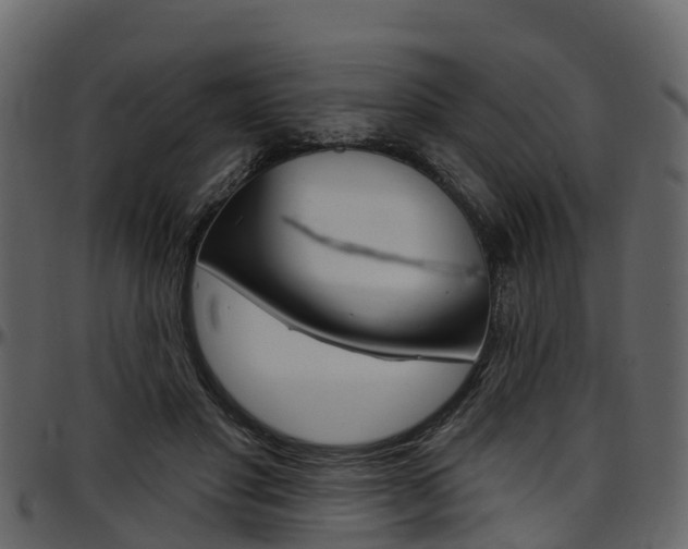 X0000097650501200802290850