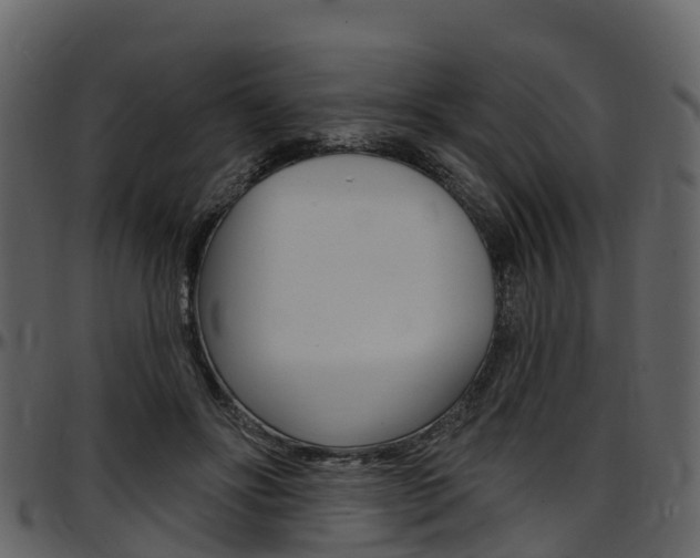 X0000097650502200802290850