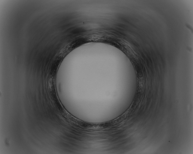 X0000097650503200802290850