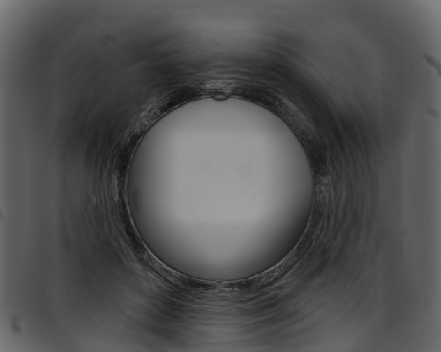X0000097650504200802290850