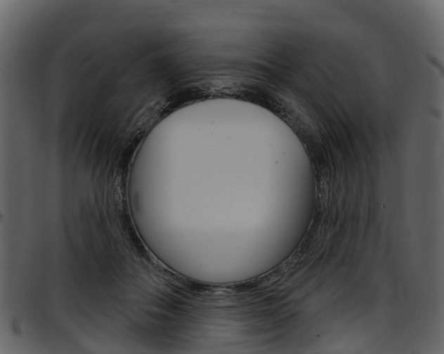X0000097650506200802290850