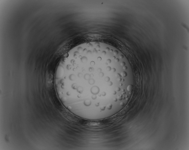 X0000097650507200802290850