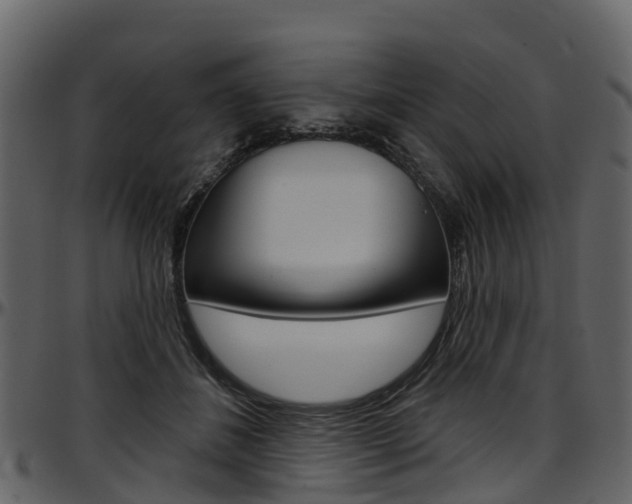 X0000097650508200802290850