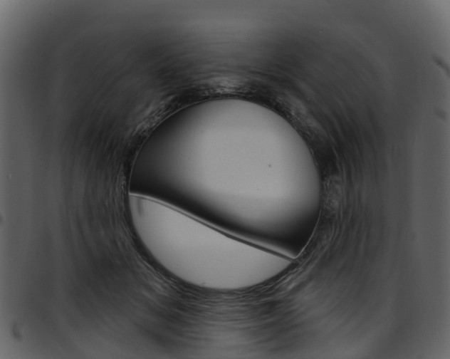 X0000097650509200802290850