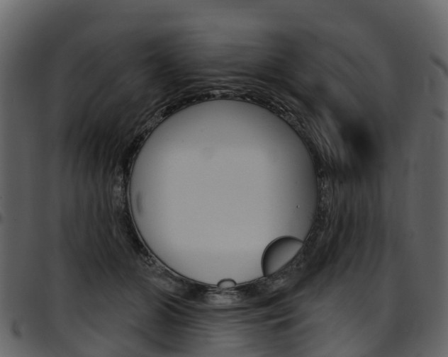 X0000097650510200802290850