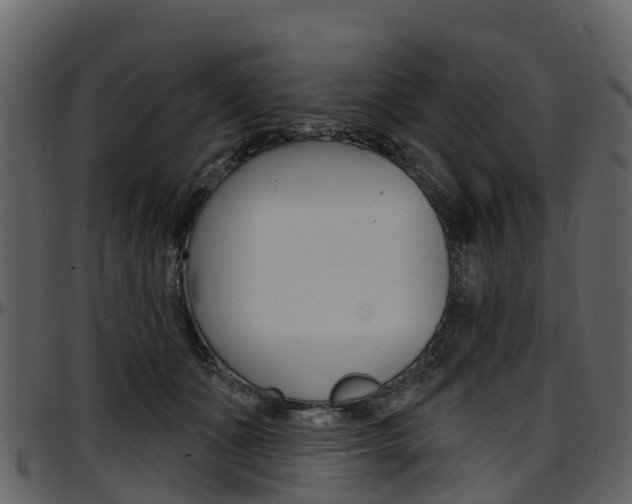 X0000097650511200802290850
