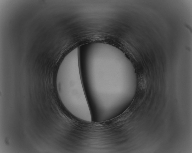 X0000097650512200802290850