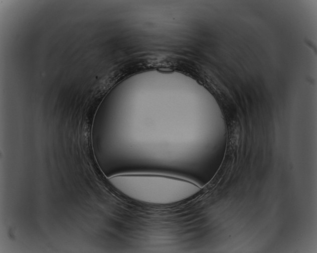 X0000097650513200802290850