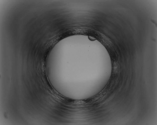 X0000097650514200802290850