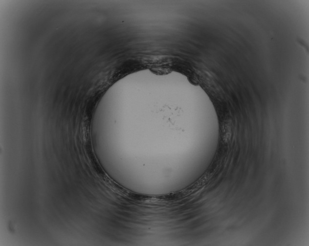 X0000097650515200802290850