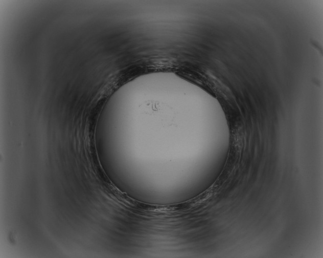 X0000097650516200802290850