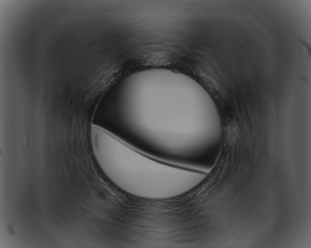 X0000097650517200802290850