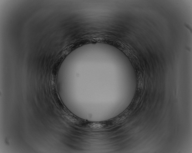 X0000097650518200802290850