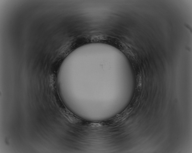 X0000097650519200802290850