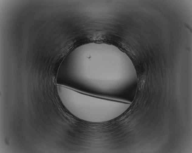 X0000097650521200802290849