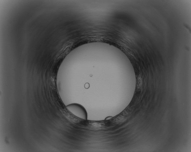 X0000097650522200802290849