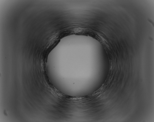 X0000097650524200802290849