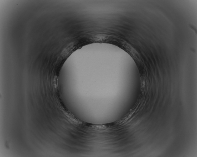 X0000097650525200802290849