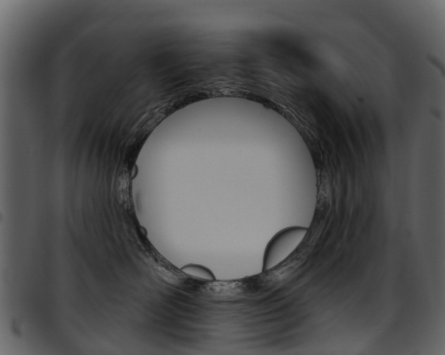 X0000097650526200802290849