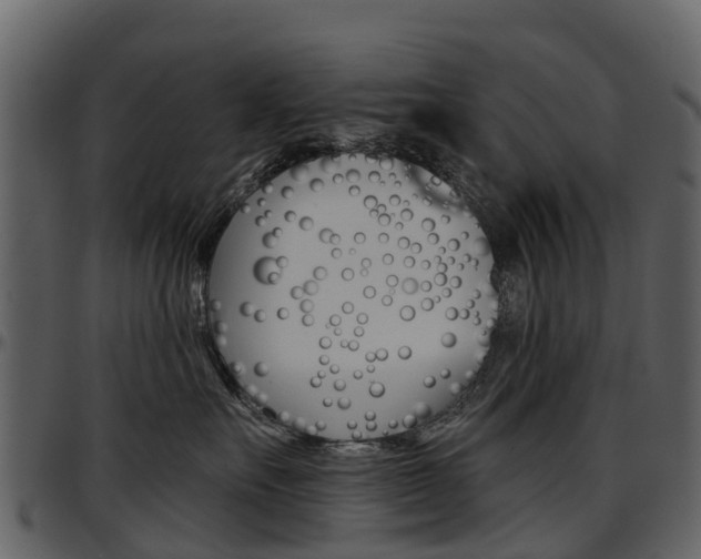 X0000097650527200802290849