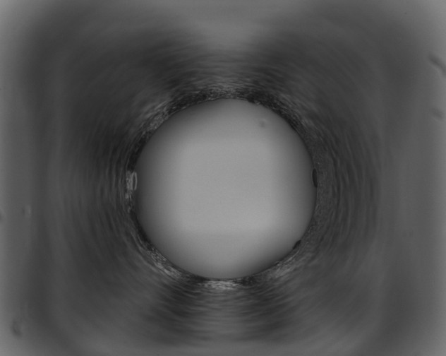 X0000097650528200802290849