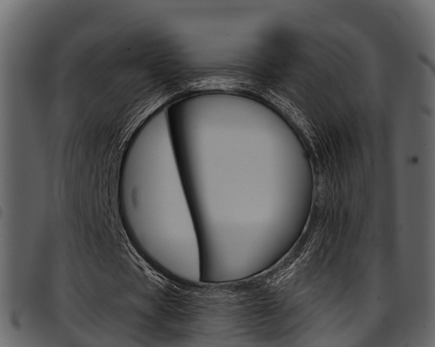 X0000097650529200802290848
