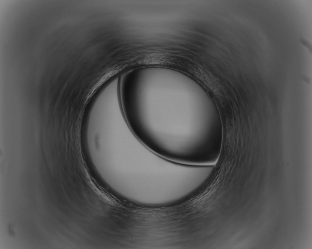X0000097650530200802290848
