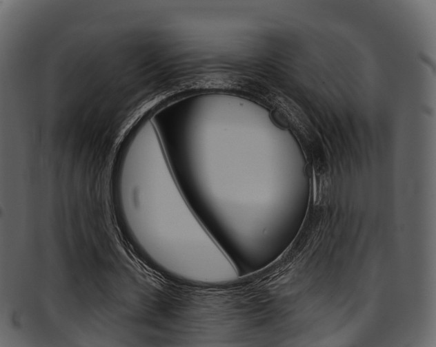 X0000097650531200802290848