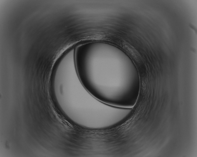 X0000097650532200802290848