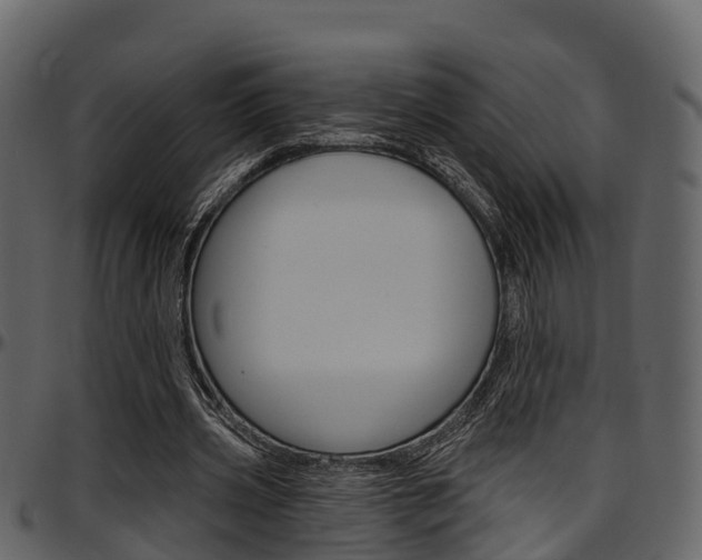 X0000097650533200802290848