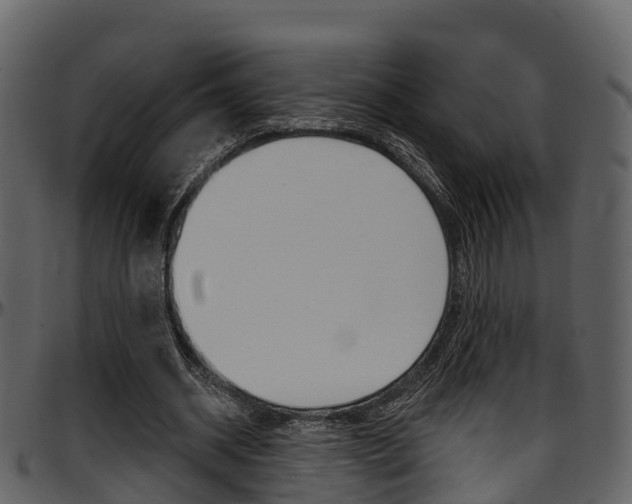 X0000097650534200802290848