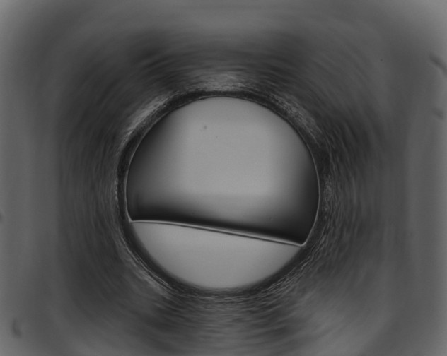 X0000097650535200802290848
