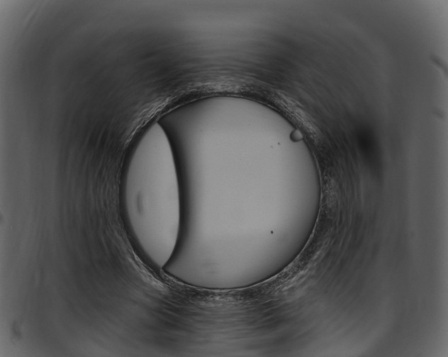 X0000097650537200802290848