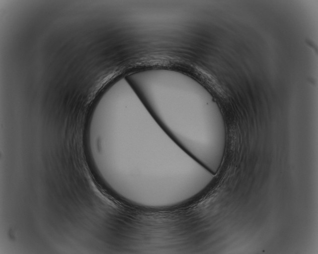 X0000097650538200802290848
