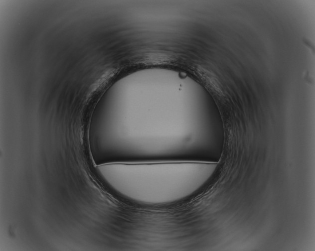 X0000097650539200802290849