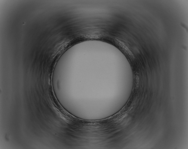 X0000097650541200802290849