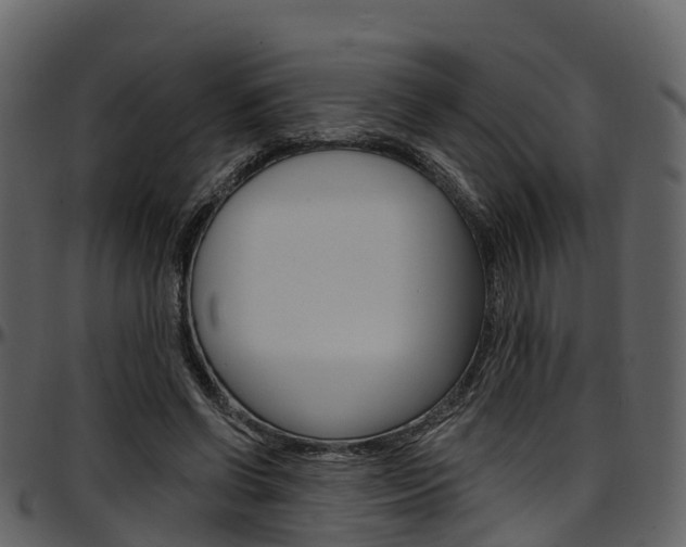 X0000097650542200802290849