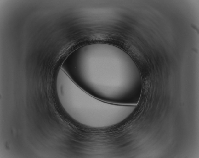X0000097650544200802290849