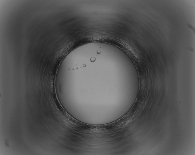 X0000097650545200802290849