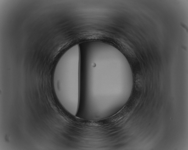 X0000097650547200802290849